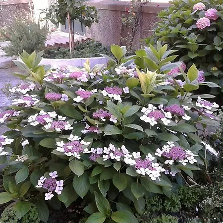 Holiday home Casa Chetta Genoa