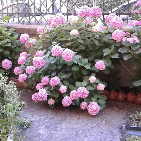 Holiday home Casa Chetta